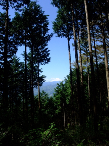a0043982_5523467.jpg