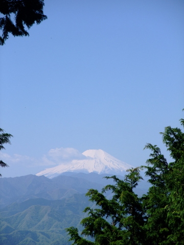 a0043982_5524214.jpg