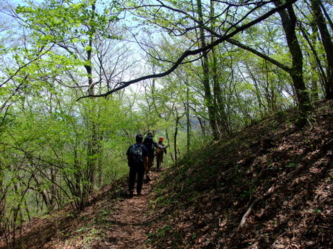 a0043982_6181189.jpg