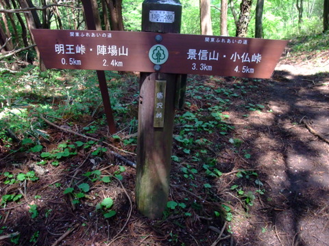 a0043982_6453819.jpg
