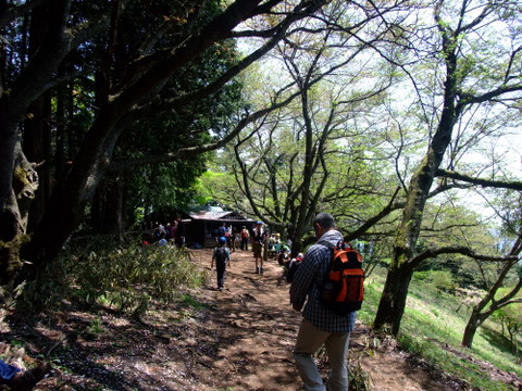 a0043982_6461085.jpg