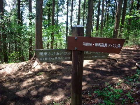 a0043982_6465518.jpg