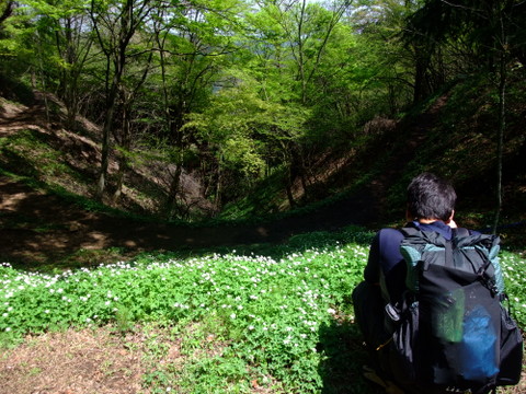 a0043982_6471755.jpg