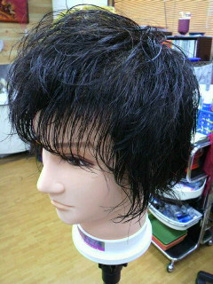 c0096582_1065456.jpg