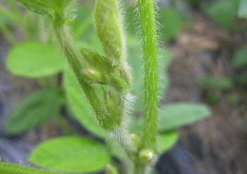 f0003283_10201297.jpg