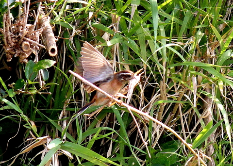 e0197884_025339.jpg