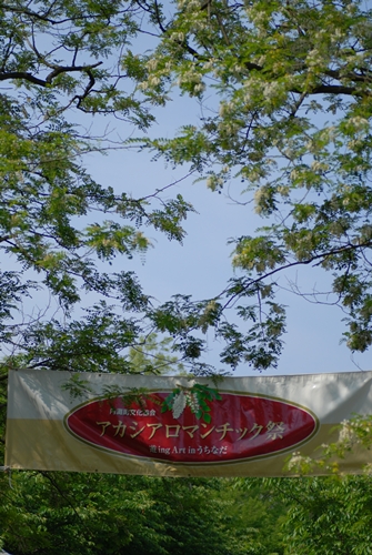 c0156789_203831.jpg