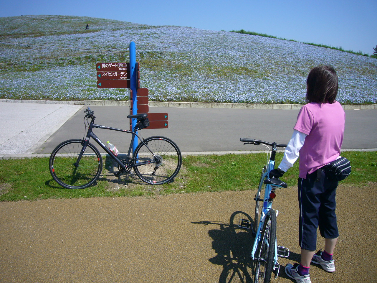 d0147789_1062130.jpg