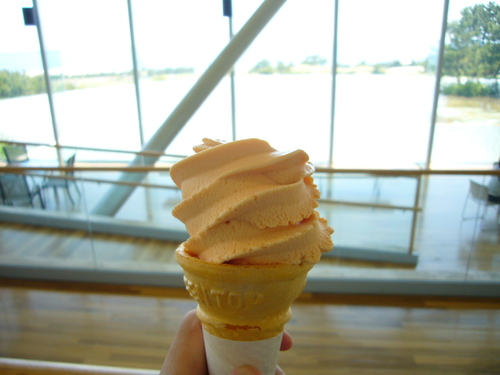 d0147789_1071985.jpg