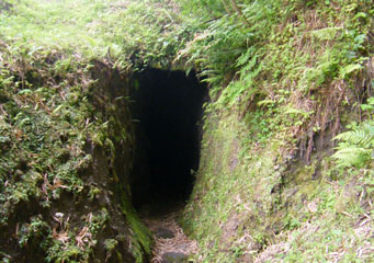 d0079494_2025521.jpg