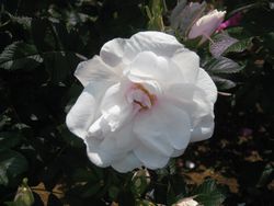 f0201297_22104793.jpg