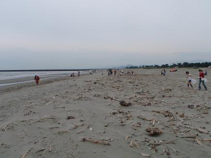 a0125598_2026032.jpg