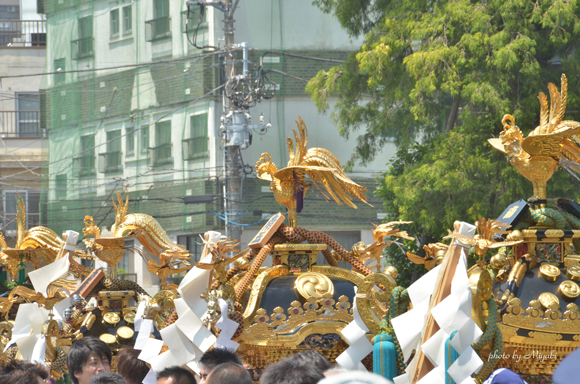 a0161698_10545519.jpg