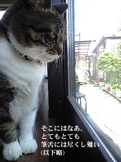 c0035001_15322823.jpg