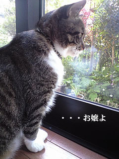 c0035001_15324497.jpg