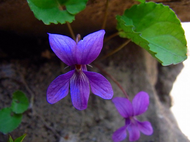 f0157901_22353151.jpg