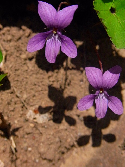 f0157901_22355758.jpg