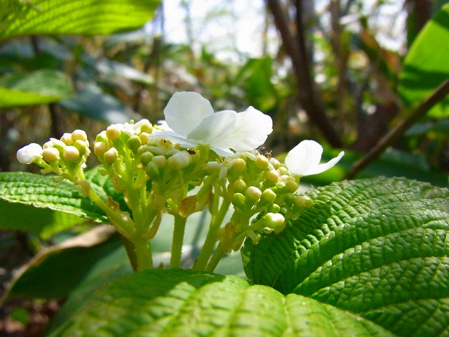 f0157901_2237225.jpg