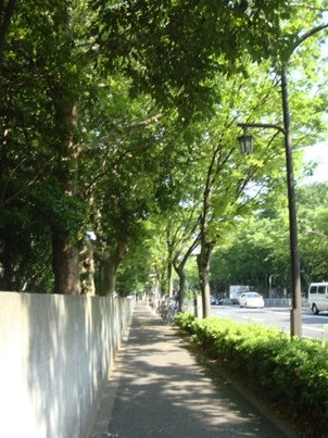 a0167803_1127238.jpg