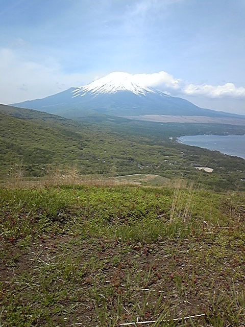 c0151303_23465399.jpg