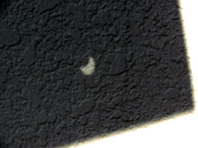 e0118904_14135134.jpg