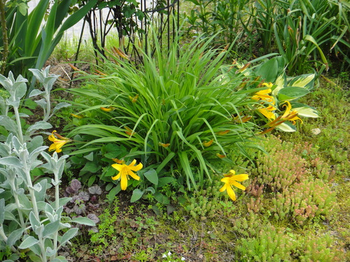 c0105306_5401665.jpg