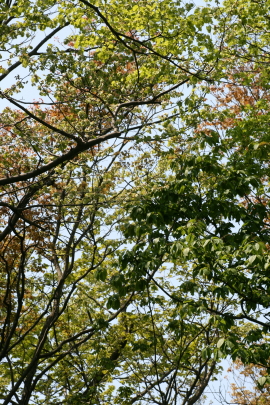 f0041606_943795.jpg