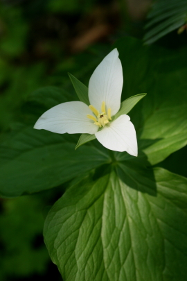 f0041606_965187.jpg
