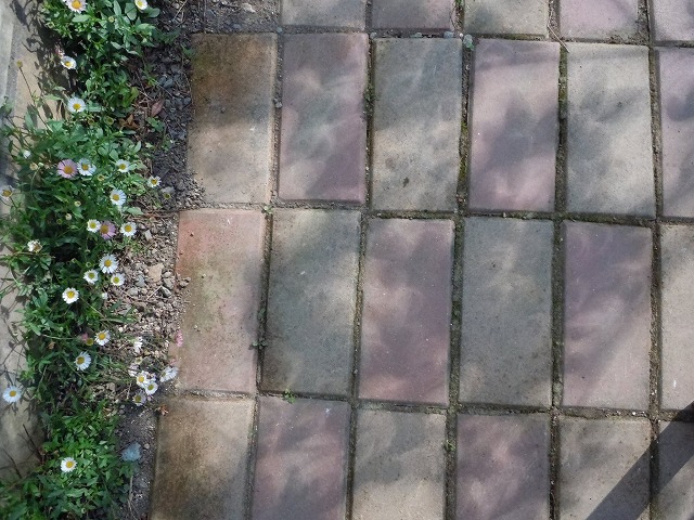 c0117007_20235843.jpg