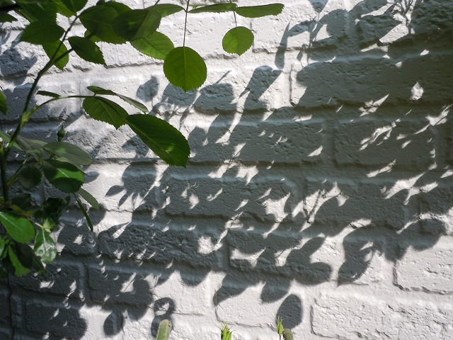 c0117007_2024281.jpg