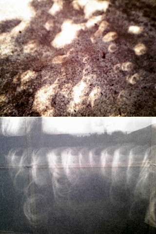 e0098908_21155750.jpg
