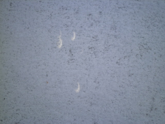 e0258608_22483417.jpg
