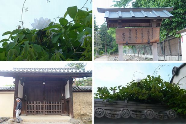 f0221708_201237.jpg