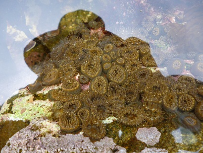 f0008510_1224582.jpg