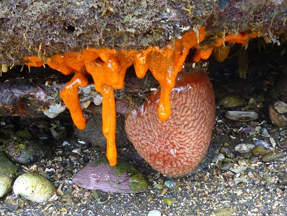 f0008510_1225529.jpg