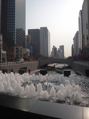 f0199511_75459.jpg