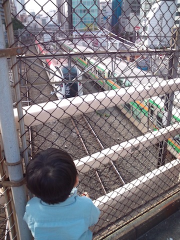 a0151615_16283520.jpg