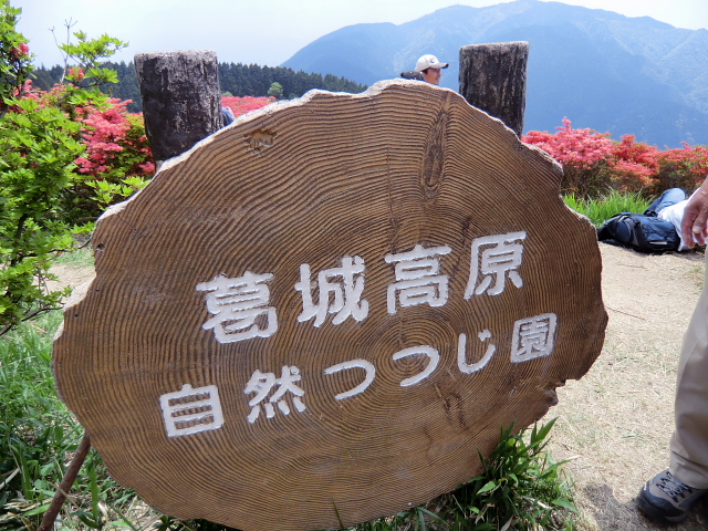d0170615_9221516.jpg