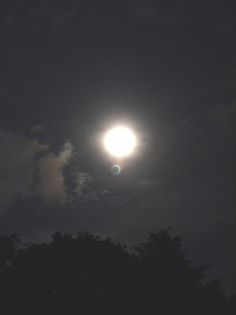 f0169215_23434914.jpg