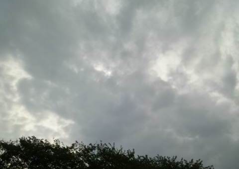 c0084117_19111458.jpg