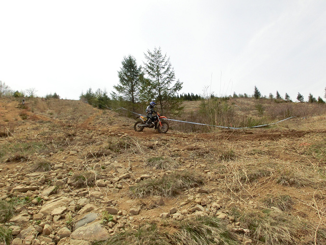 c0223419_1755178.jpg