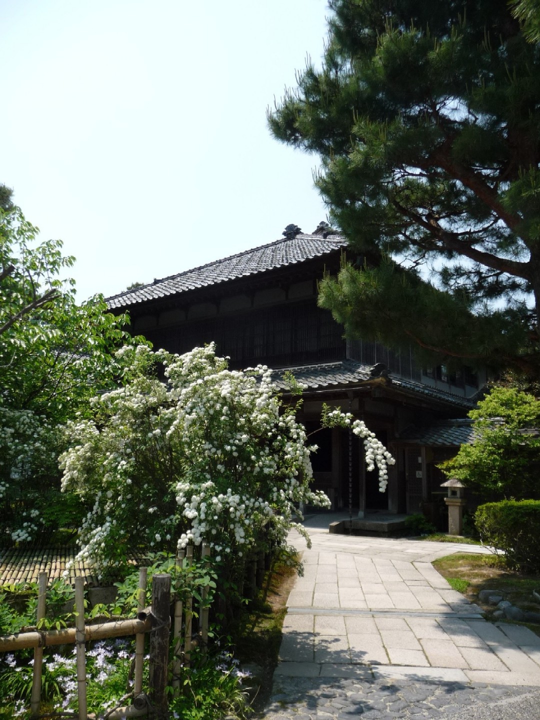 e0135219_16541133.jpg