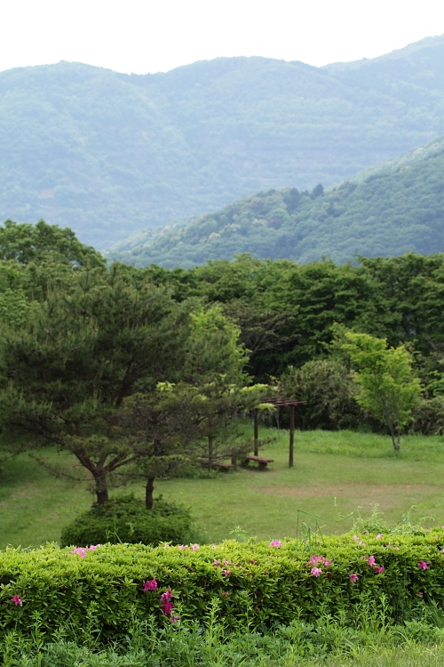b0249720_217352.jpg