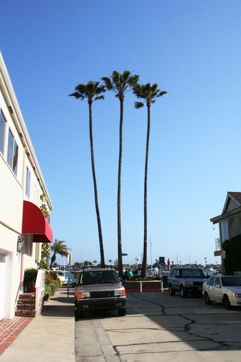 d0027320_20123045.jpg