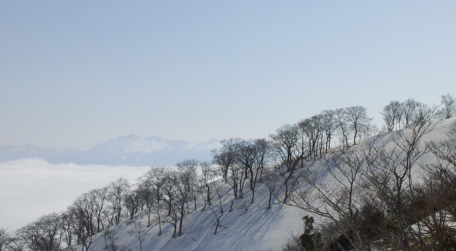 b0199924_13131295.jpg