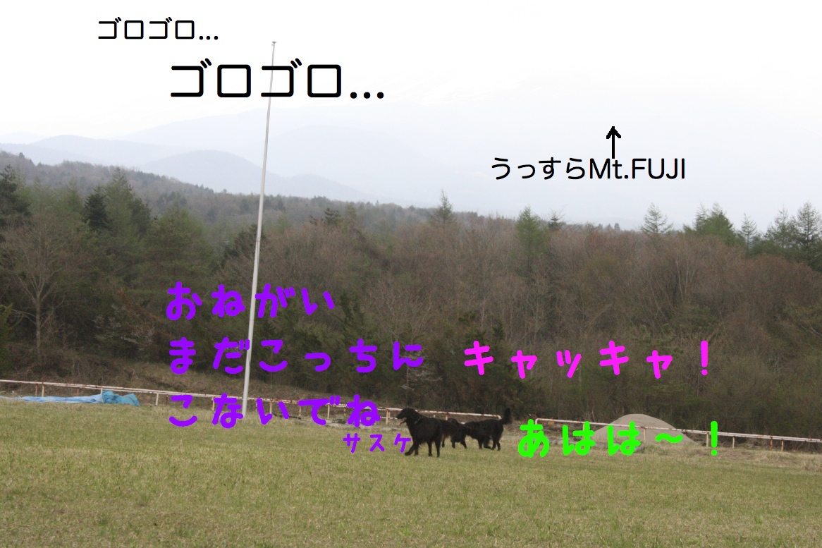c0237824_23463238.jpg