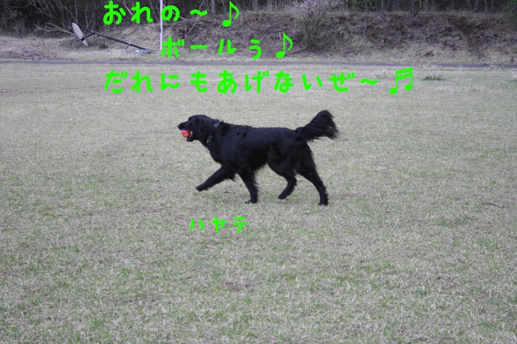 c0237824_23531761.jpg