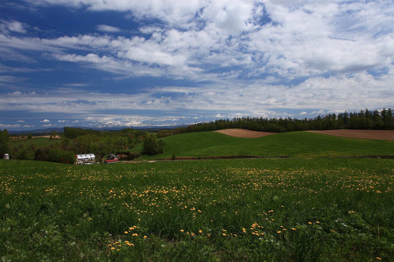 b0243727_17382734.jpg