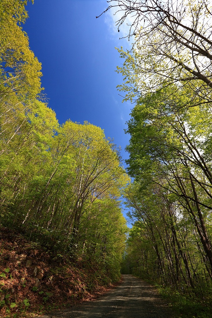 b0243727_1912636.jpg