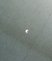 c0188928_751167.jpg